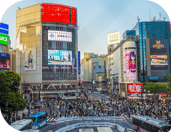 メディアの画像